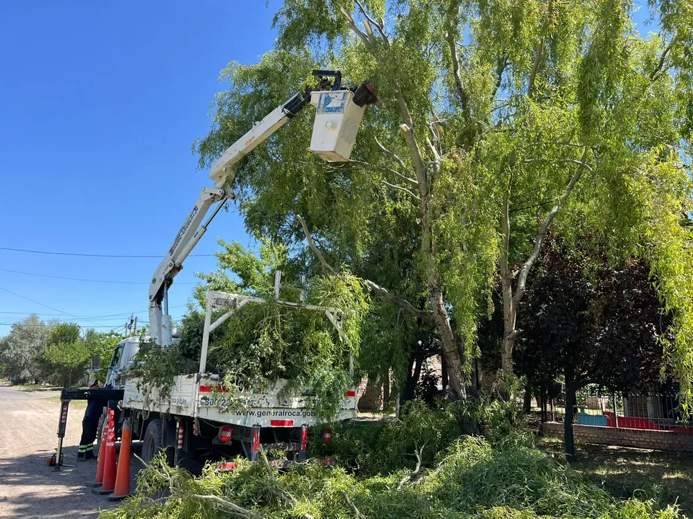 SERVICIOS PUBLICOS 1