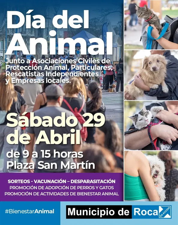 DÍA DEL ANIMAL