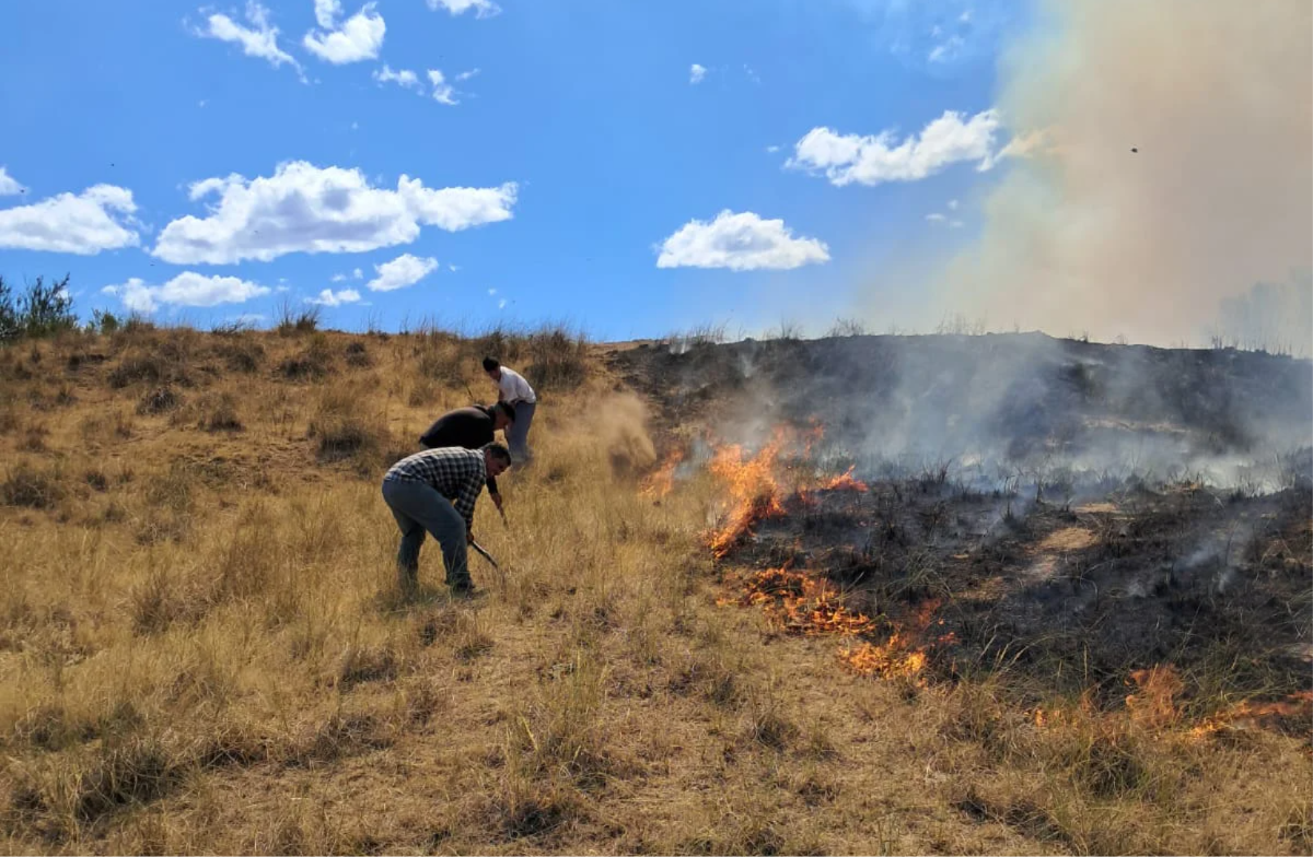 CUBANEA INCENDIO