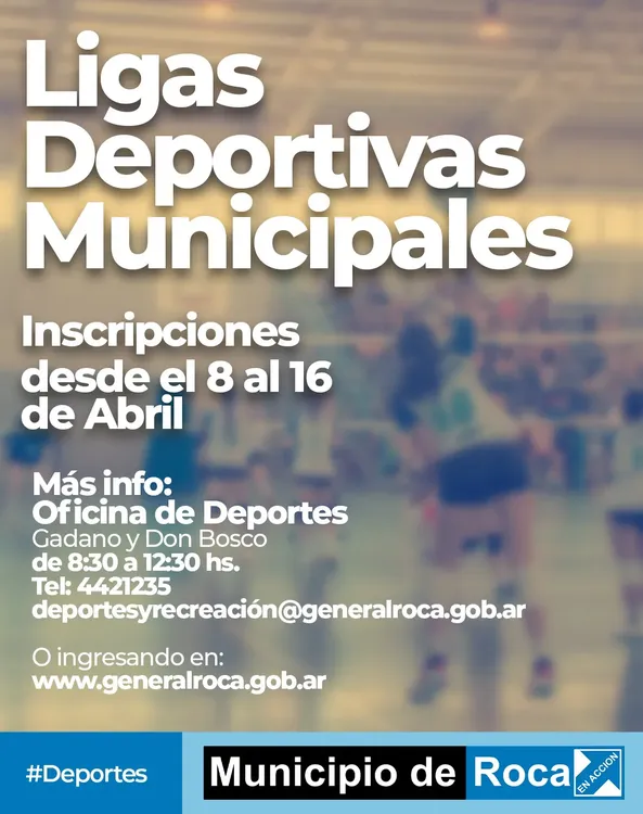 LIGAS DEPORTIVAS