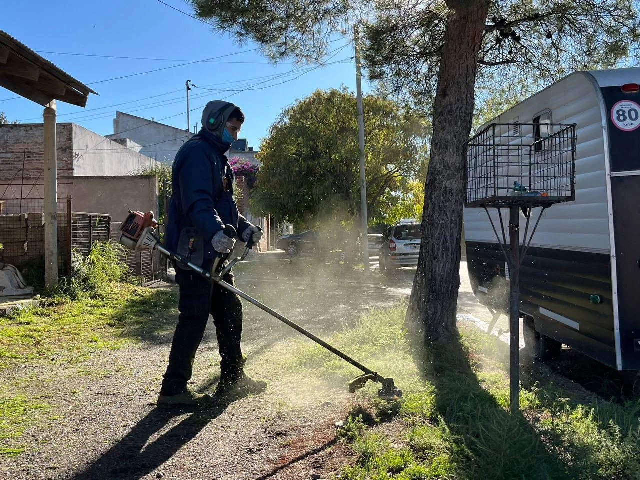 VIEDMA LIMPIA CON LA COMUNIDAD CESPED