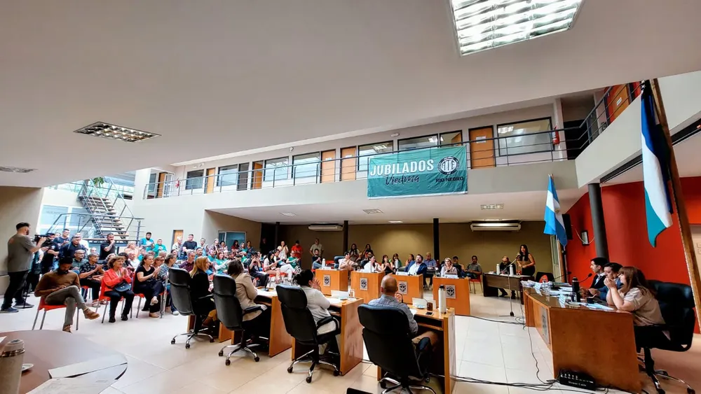 CONCEJO DELIBERANTE DE VIEDMA