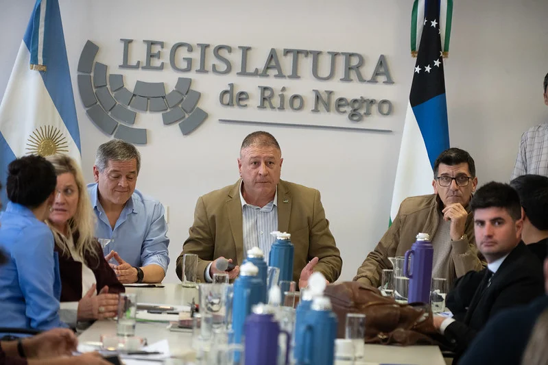 Marcelo Szczygol comision tribunal de cuentas