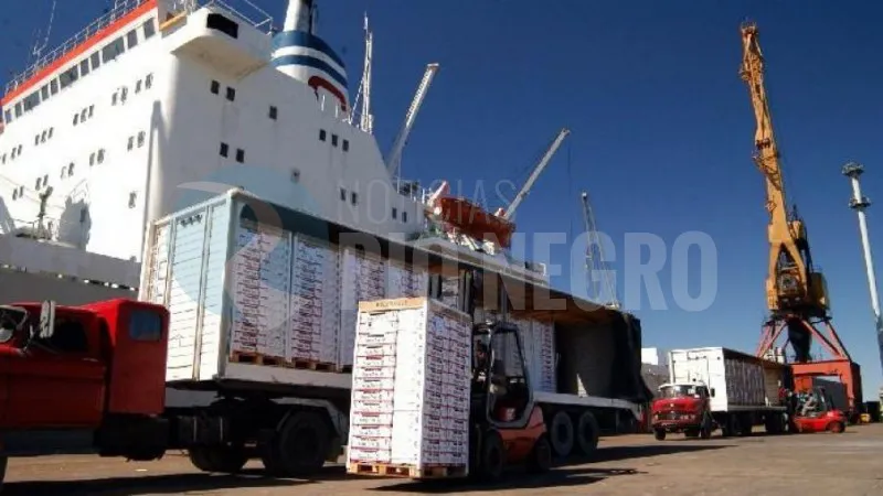 manzanas exportacion puerto