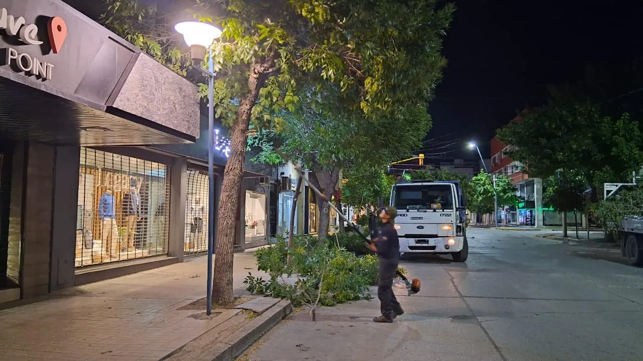 SERVICIOS PUBLICOS (2)