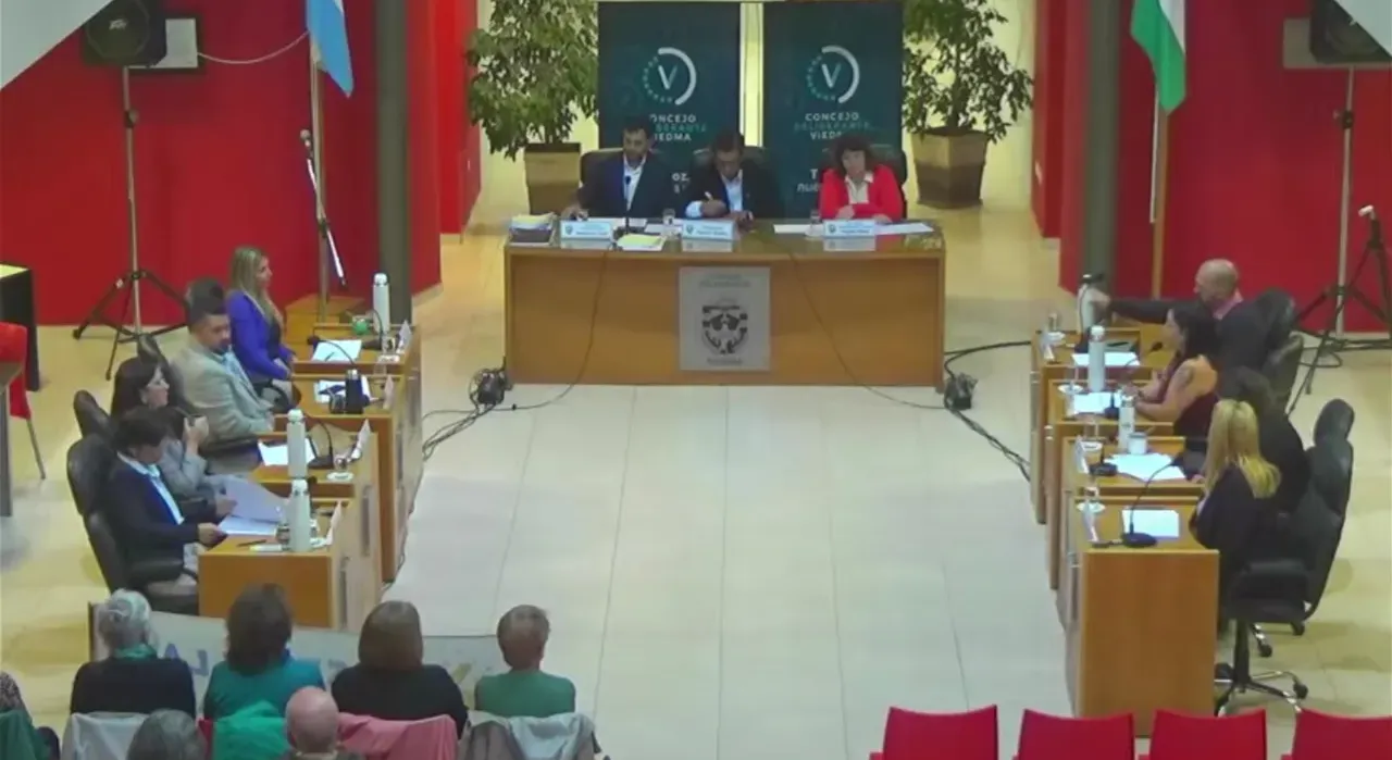 VIEDMA, CONCEJO DELIBERANTE, SESION EN VIVO