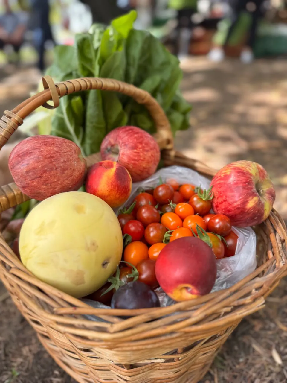 alimentos agroecológicos