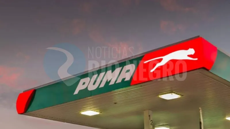 puma ESTACION DE SERVICIO