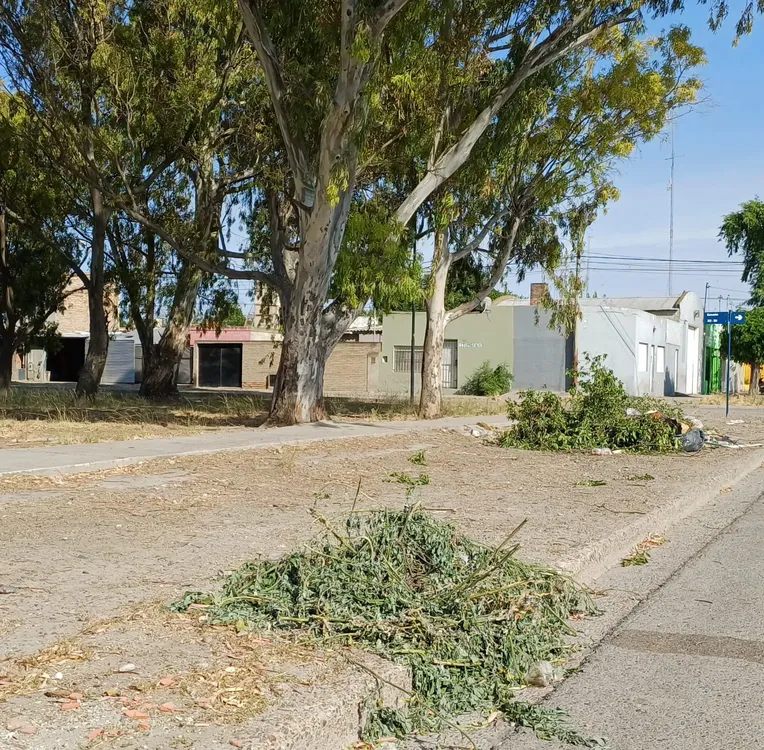 PLAZA BARRIO ZATTI BASURA