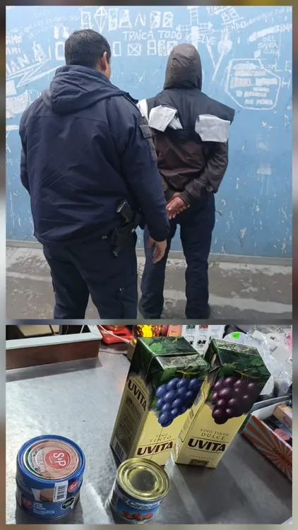 VIEDMA DETENIDO ROBO