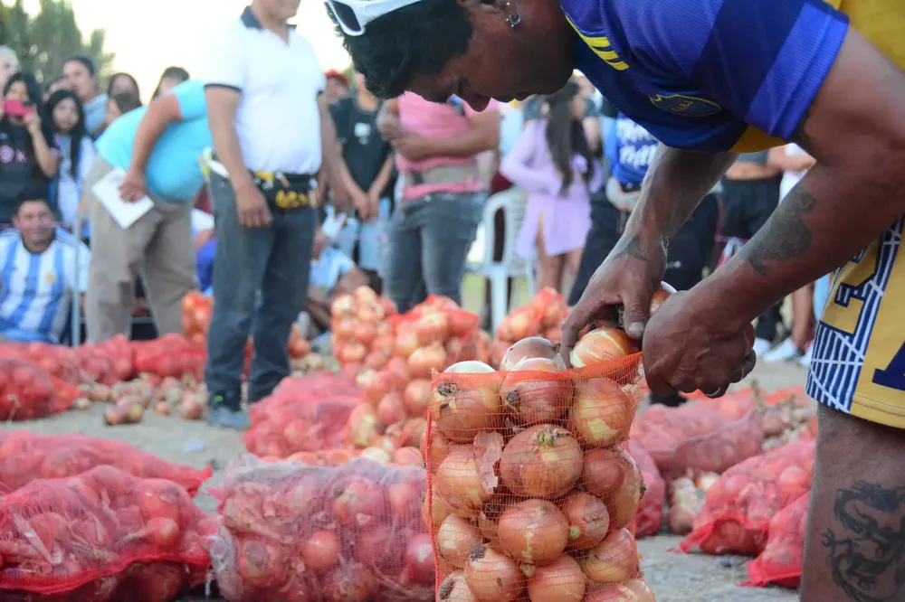 concurso de Descolado de cebolla, san javier