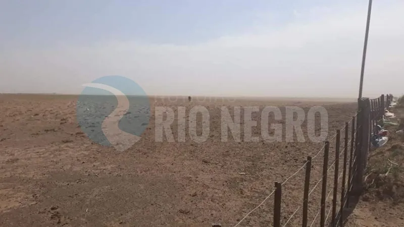 campo stroeder sequia