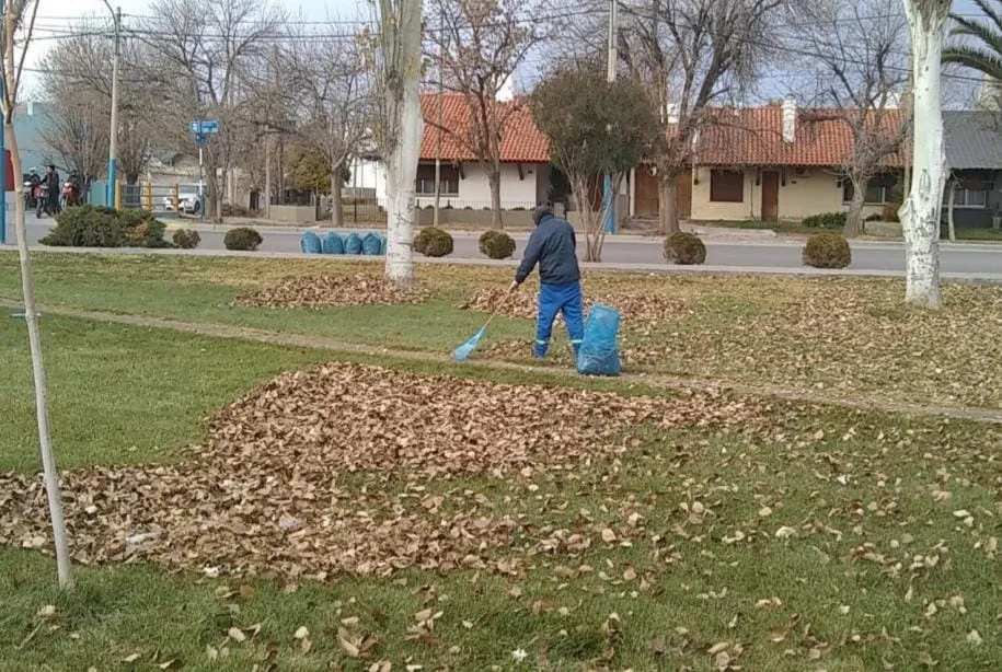SERVICIOS PUBLICOS