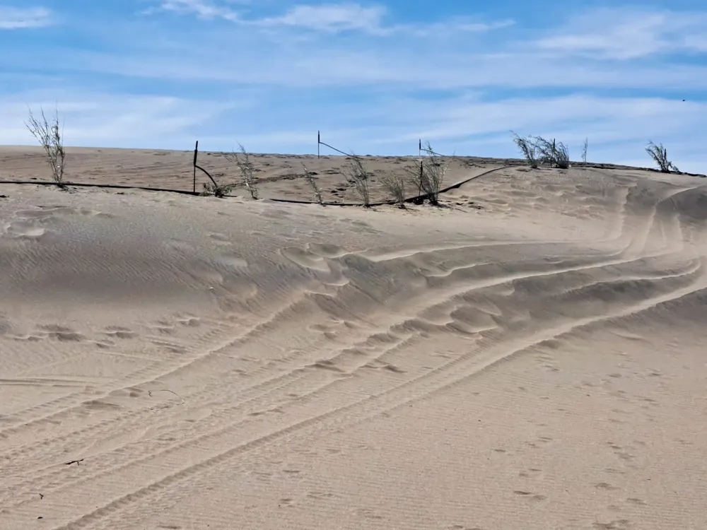 BAHIA CREEK MEDANOS