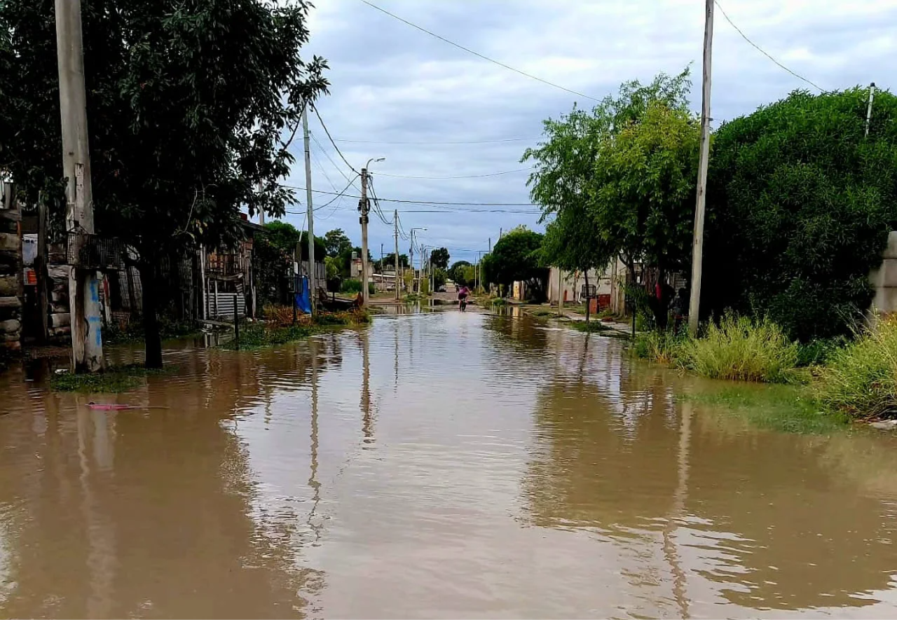 VIEDMA CALLE ANEGADA