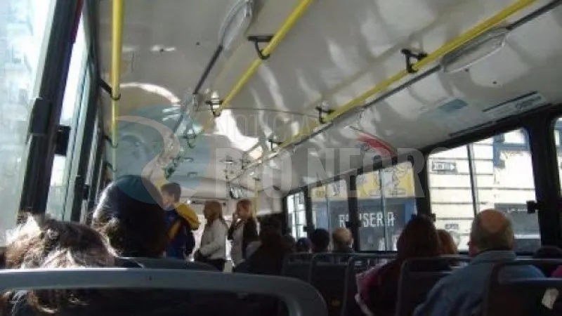 COLECTIVO INTERIOR