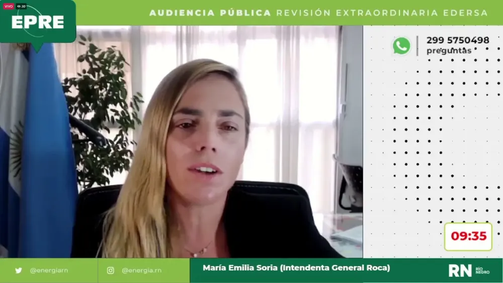 MARIA EMILIA SORIA EN LA AUDIENCIA PUBLICA DEL EPRE
