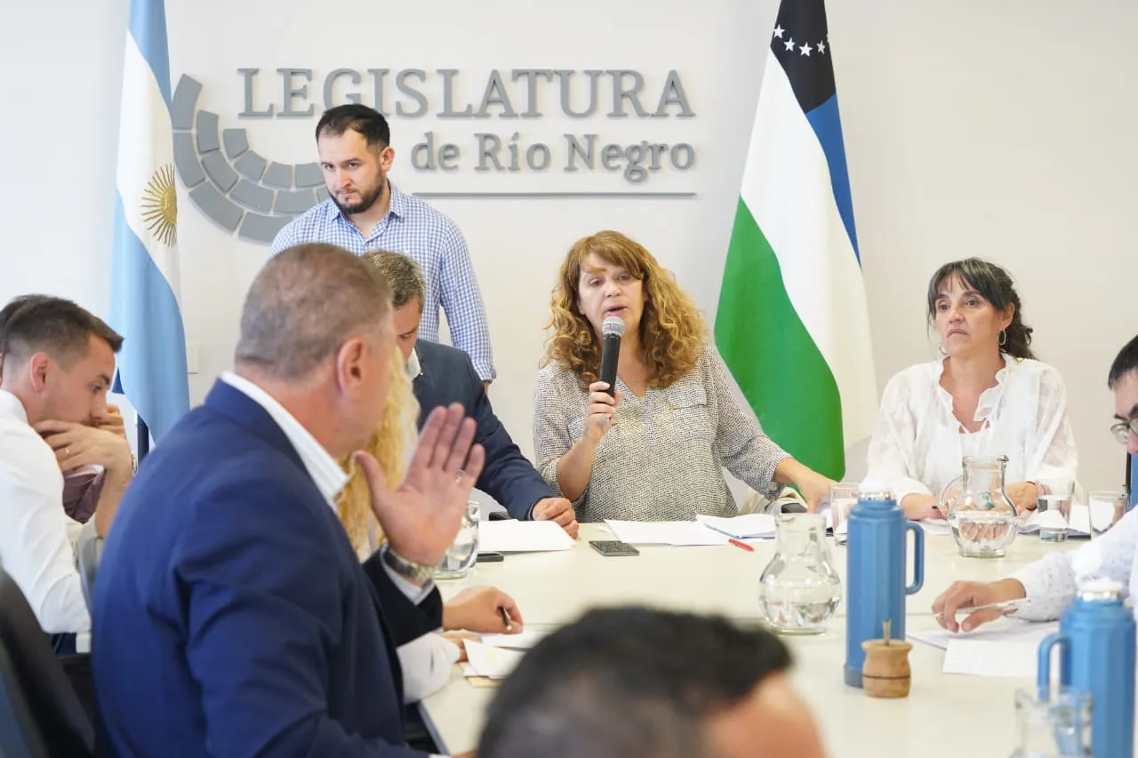 COMISION DE EDUCACION, LEGISLATURA