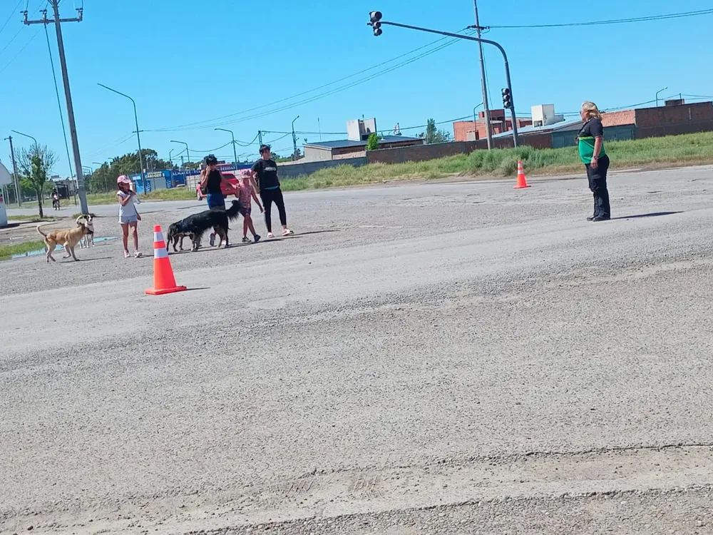 OPERATIVO DE TRANSITO EN VIEDMA
