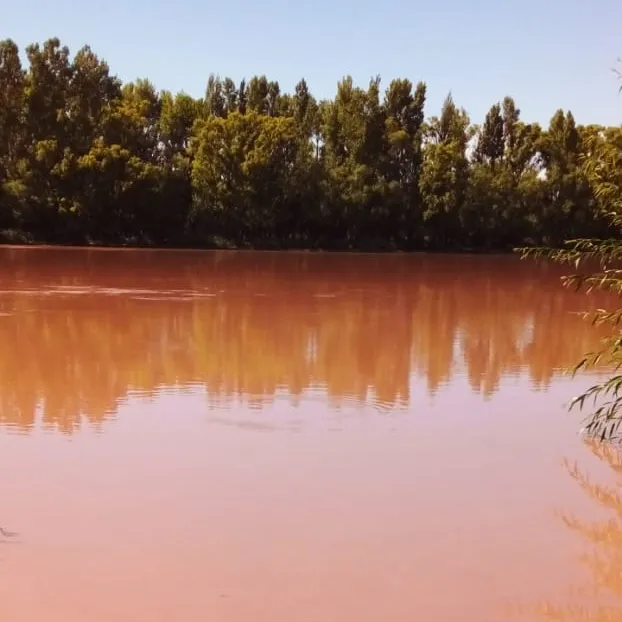RIO NEGRO, TURBIEDAD
