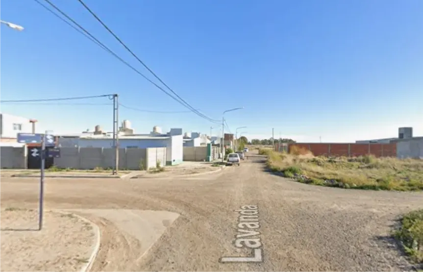 las rosas y lavanda barrio independencia