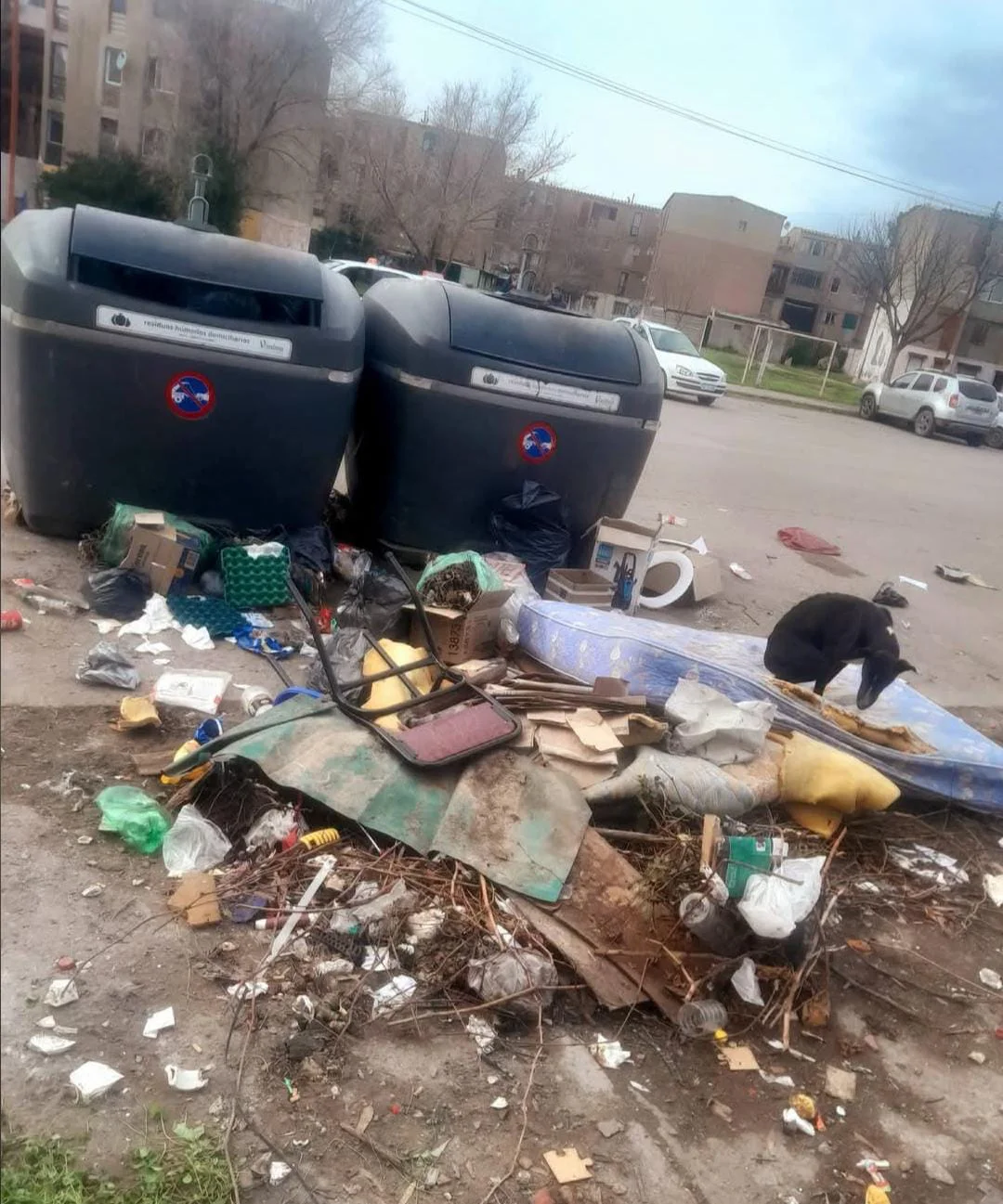 915 VIVIENDAS BASURA
