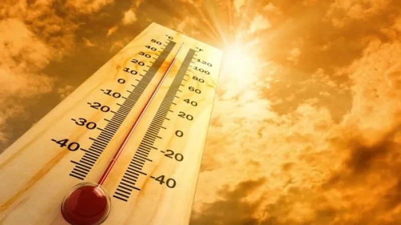 calor