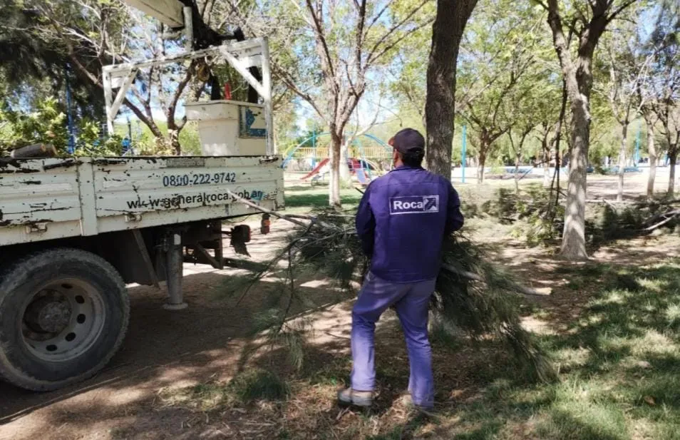 SERVICIOS PUBLICOS (7)