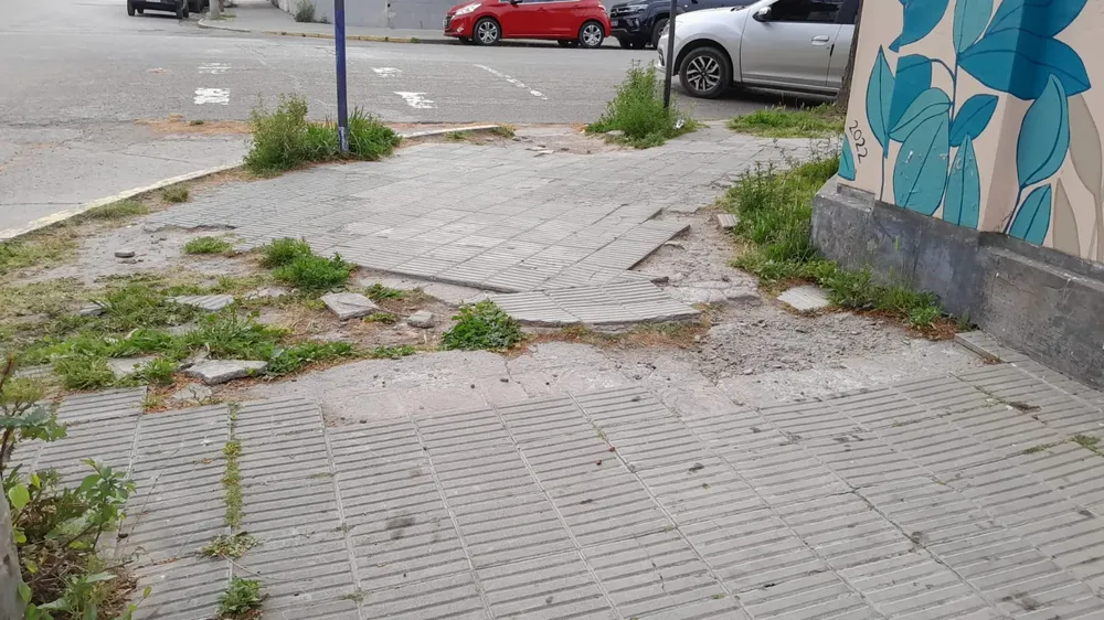 VIEDMA, VEREDA