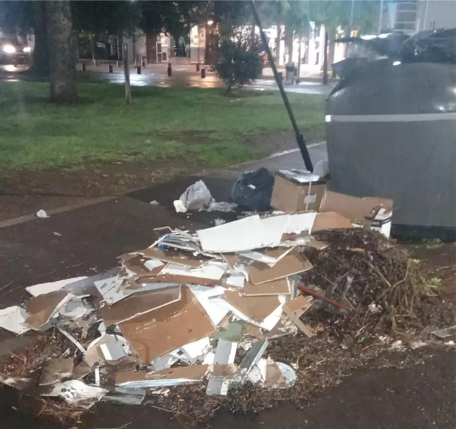 VIEDMA, MICROBASURAL, PLAZA ALSINA