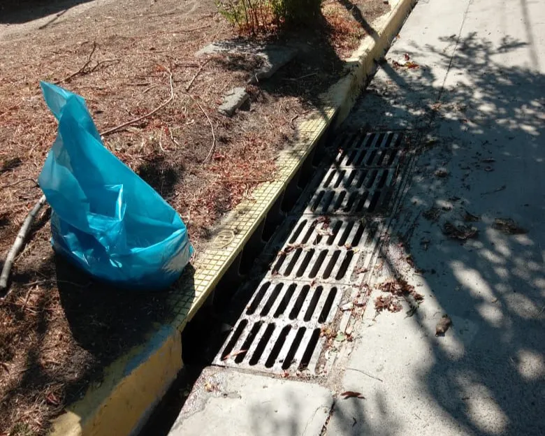 LIMPIEZA RED PLUVIAL