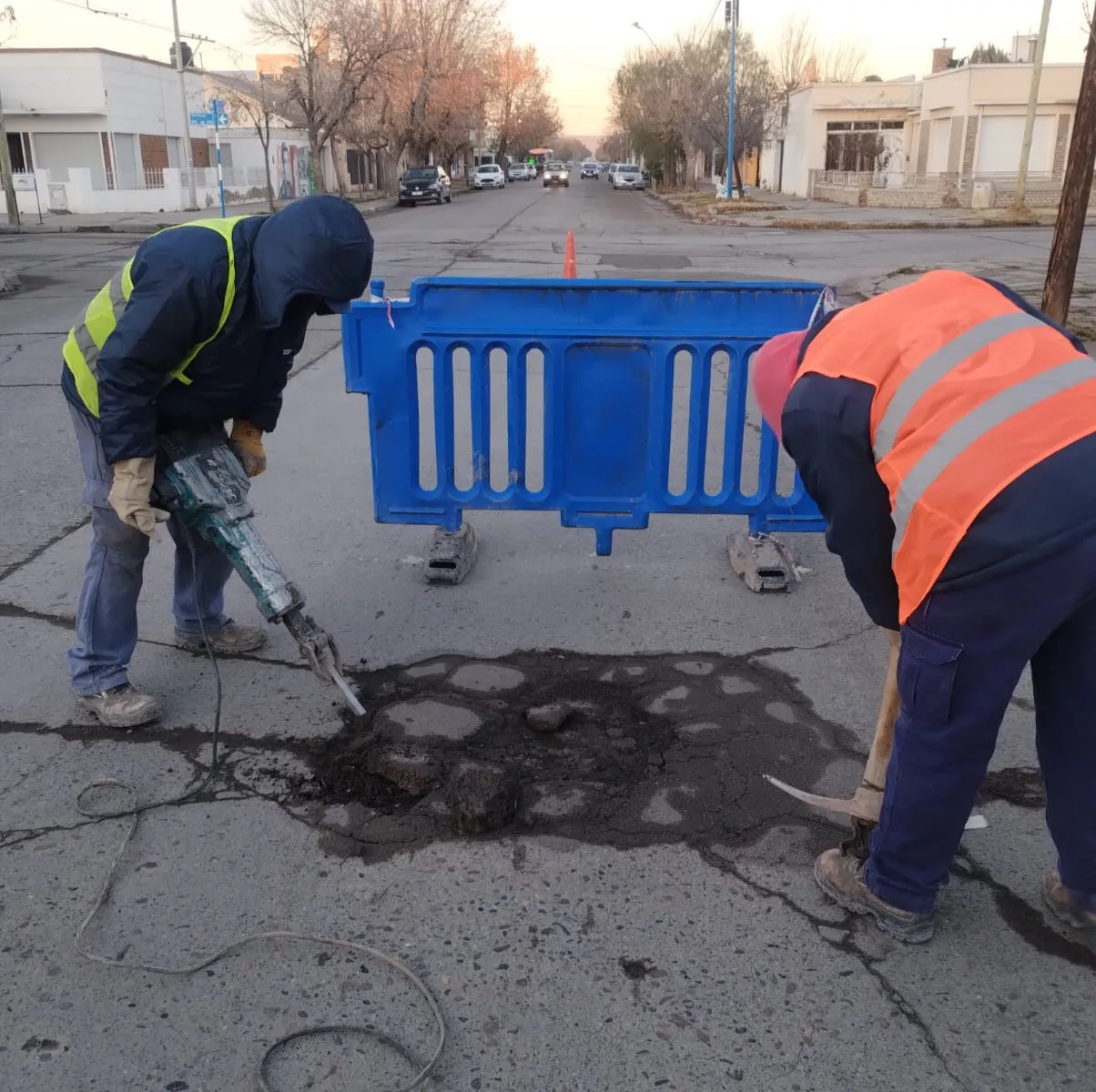 BACHEO