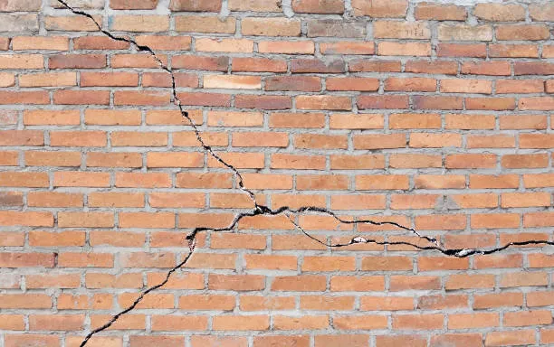 PARED DE LADRILLOS