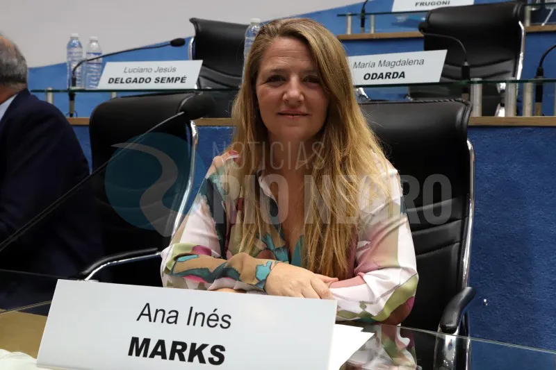 ANA MARKS