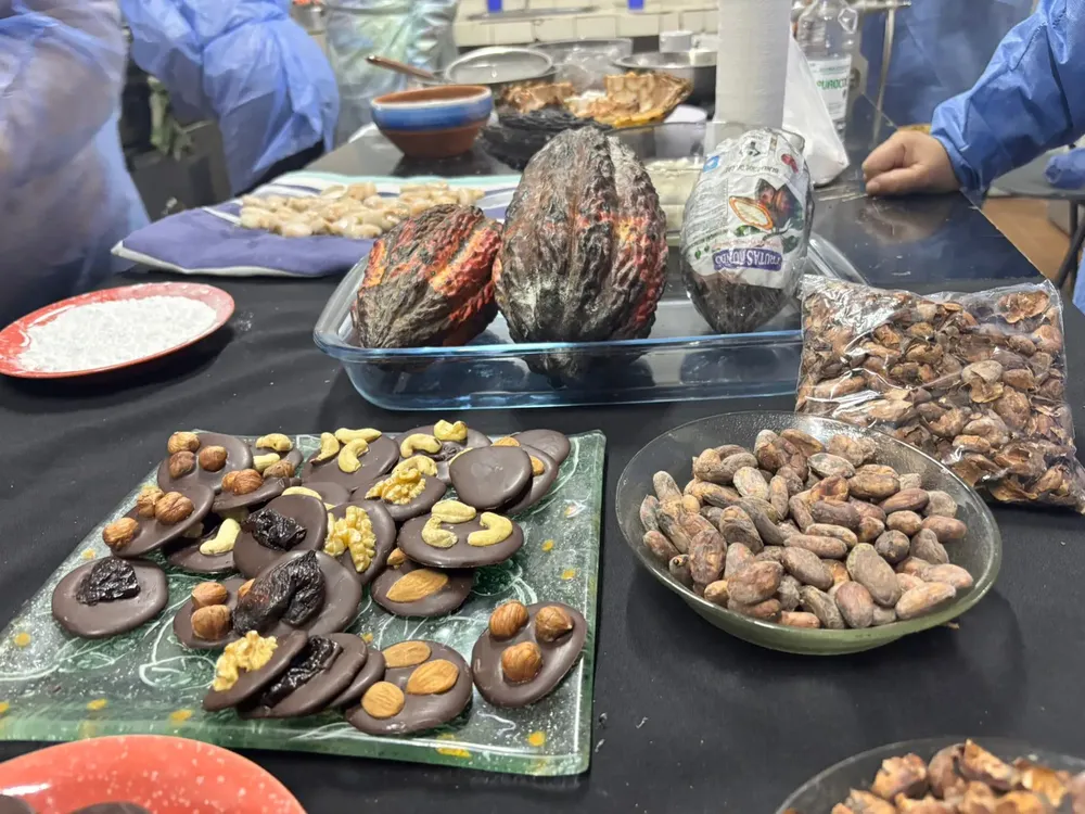 Caminos del cacao y otros sabores