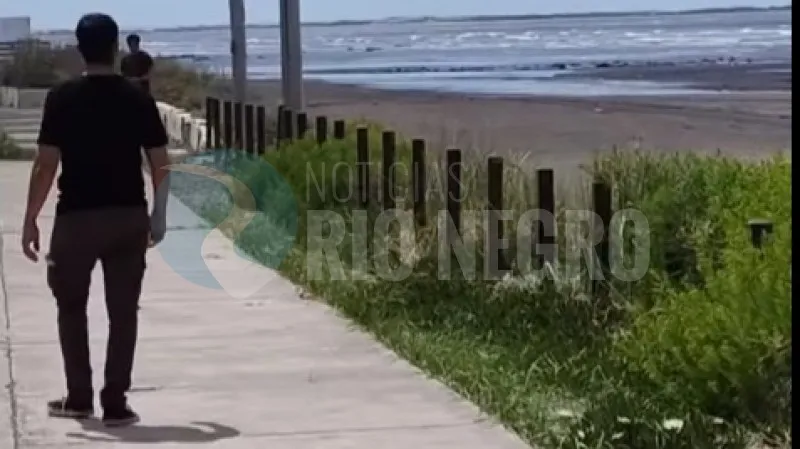 el condor costanera