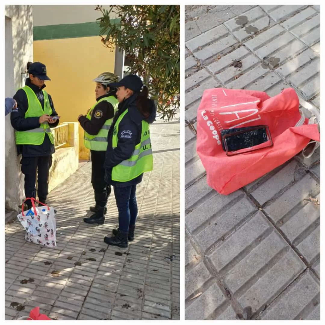 ROBO DE UN CELULAR EN VIEDMA