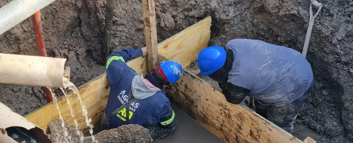 Viedma720020734_040985641bd98b95504c-1178x480