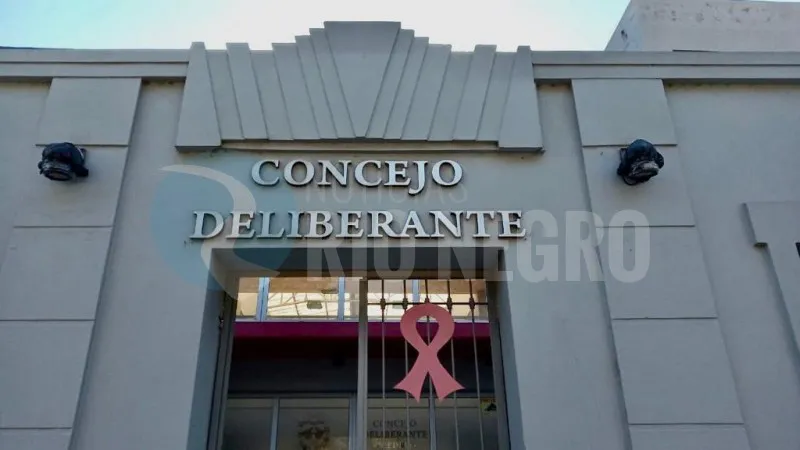 viedma Concejo Deliberante