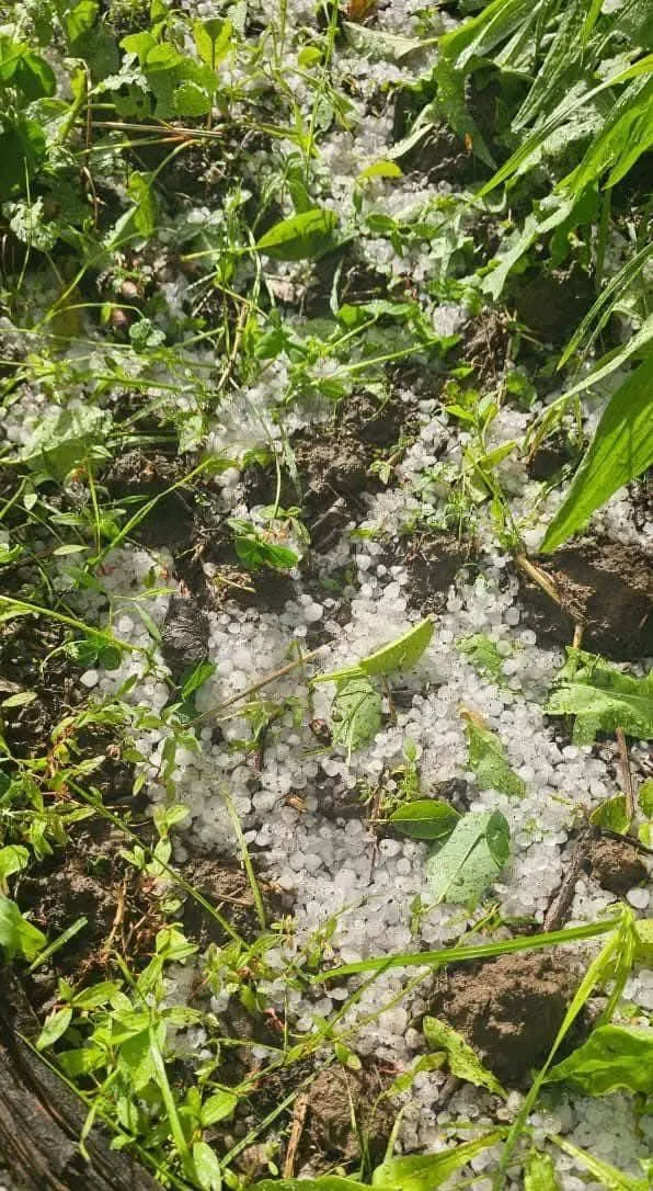 GRANIZO NOVIEMBRE 2025