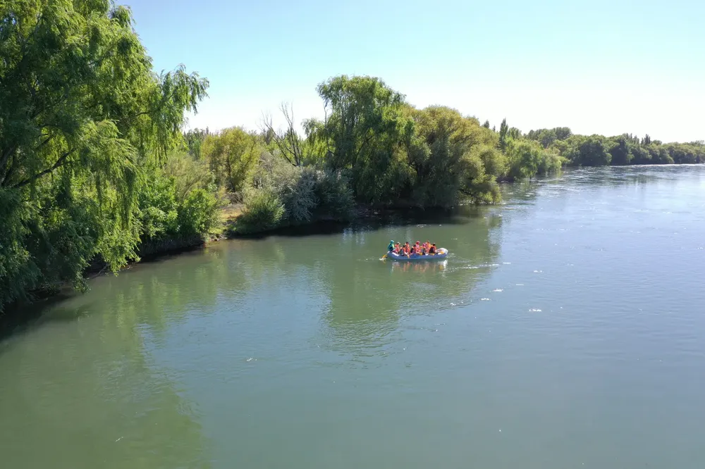 FLOTADA 2