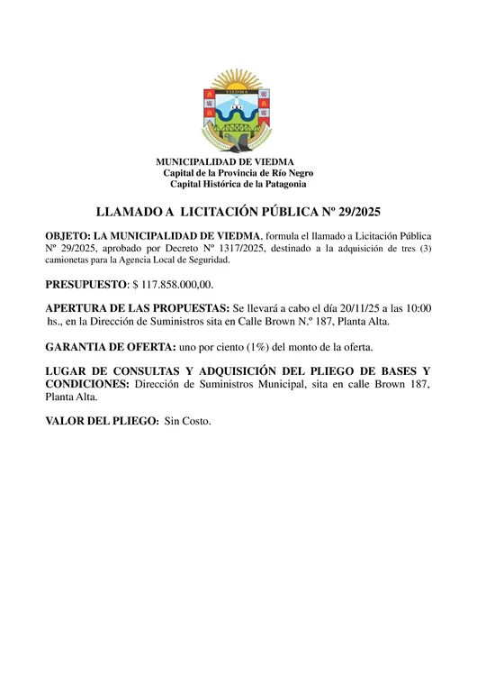 texto-para-publicar-lic-publica-29-25