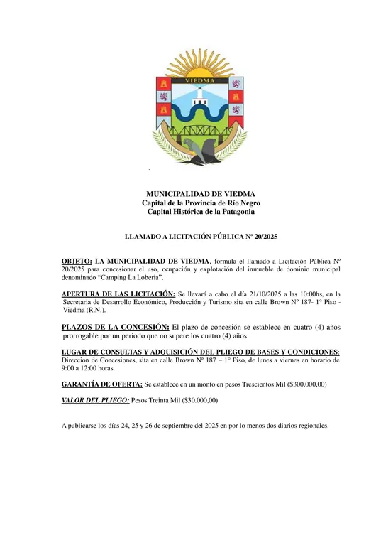 Licitacion-Pública-N°-20-2025