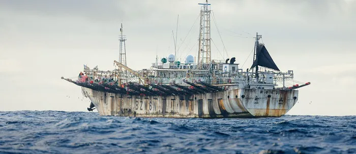 BARCO PESQUERO - PESCA DE CALAMAR