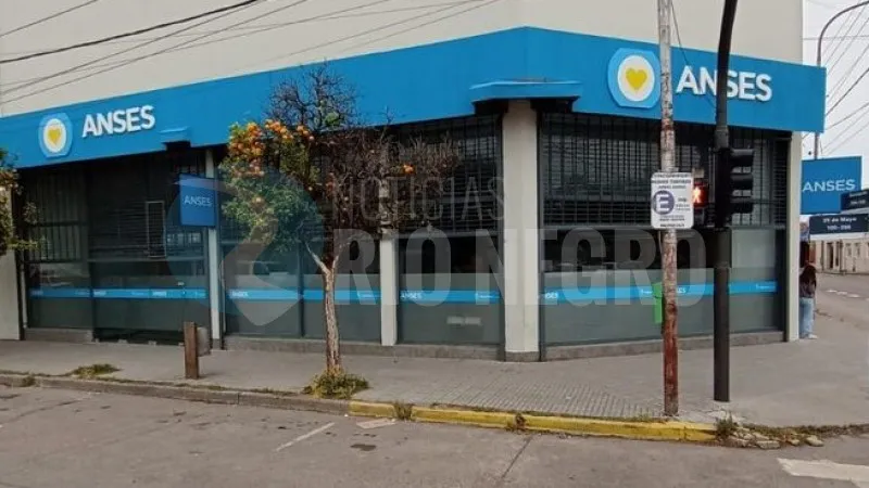 ANSES viedma