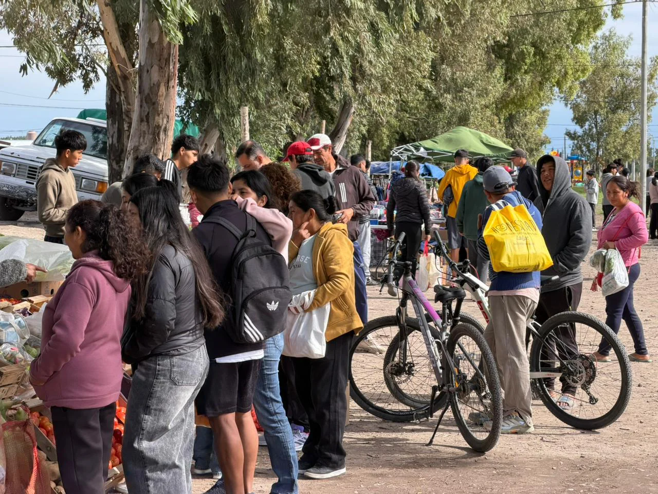 FERIA DE LOS EUCALIPTOS SAN JAVIER