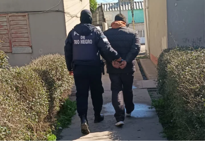 VIEDMA DETENIDO