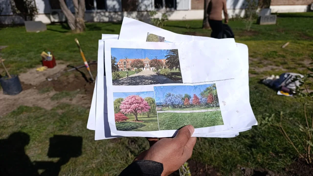 REFORESTACION Paseo del Bicentenario