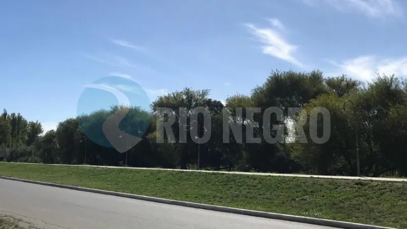 costanera