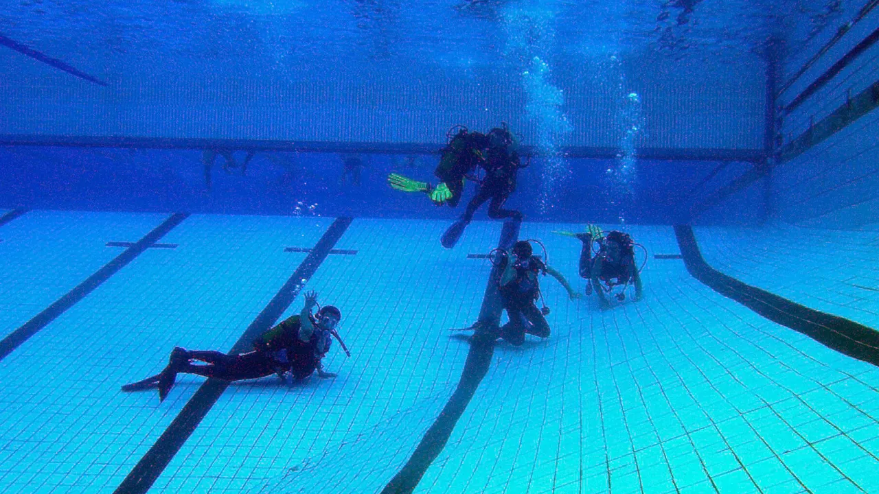 buceo
